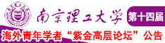 艹骚屄视频南京理工大学第十四届海外青年学者紫金论坛诚邀海内外英才！